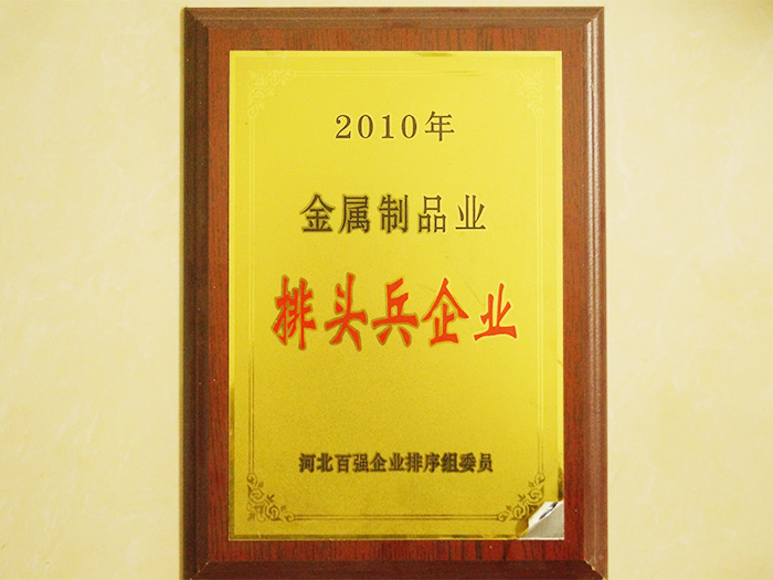 <strong>2010排頭兵企業(yè)</strong>